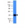 Human Kappa Light Chain(KLC264), 1mg/mL