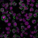 CD43(Bra7G), 1mg/mL