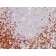 CD5(C5/473), 1mg/mL