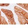Cytokeratin 8(K8.8), 1mg/mL