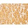 MART-1 / Melan-A / MLANA (Melanoma Marker)(DT101 + BC199), 1mg/mL