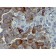 NGFR (Nerve Growth Factor Receptor)(NGFR5), 1mg/mL