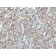 CD176 / T-F Ag (Thomsen-Friedenreich Ag)(A68-B/A11), 1mg/mL