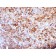 Human IgG Immunoglobulin(B33/20), 1mg/mL