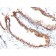 Double Stranded DNA (dsDNA)(DSD/958), 1mg/mL