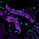 Ksp-Cadherin / CDH16(CDH16/1071), 1mg/mL