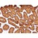 Mucin 5AC (MUC5AC)(MUC5AC/917 + 45M1), 1mg/mL