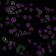 CD45 / LCA (B-Cell Marker) (PTPRC/1461), 1mg/mL