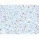 CFTR (Cystic Fibrosis Transmembrane Conductance Regulator)(N/A), 1mg/mL