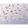CD68 (Macrophage Marker)(LAMP4/1830), 1mg/mL