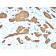 Cytokeratin 8 (KRT8)(KRT8/2115), 1mg/mL