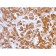 Growth Hormone (Pituitary Marker)(GH/3155), 1mg/mL