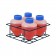 Rack for 500mL Tubes