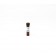 M-Dissolving Buffer (500 μl)