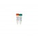 Universal Methylated Human DNA Standard