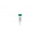 Human WGA Methylated DNA (5 μg / 20 μl)