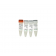 Methylated / Non-Methylated Control DNA & Primer Set  '**'