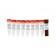 Femto™ Fungal DNA Quantification Kit