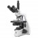 Euromex EBS-1153-PLPHI Compound phase contrast microscope Trinocular head, 1000x magnification, Plan infinite Phase Contrast, LED