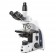 Euromex EIS-1153-PLPHI Compound phase contrast microscope Trinocular head, 1000x magnification, Plan infinite Phase Contrast, Dark Field, Koehler LED