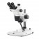 Euromex ENZ-1703-P Stereo zoom microscope Trinouclar head stereo zoom, 6.5x to 55x magnification, pillar stand, LED