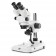 Euromex ESB-1903-P Stereo zoom microscope Trinouclar head stereo zoom, 7x to 45x magnification, pillar stand, LED