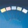 Superfrost Plus® Positive Charged Adhesion Microscope Slide, Frosted End, 25mm x 75mm x 1mm, 144/gr, 10 gr/cs (Continental US Only)