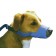 FOUR FLAGS OVER ASPEN MD-01 MUZZLE DOG NYLON SM