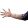 NEOGEN CORPORATION P125-P GLOVE OB SLEEVE POLY PETITE   100/BOX