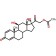 Spectrum Chemical PR100-500GM Prednisolone Acetate, Micronized, USP 500g, 1/EA