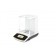 Sartorius Secura micro Balance 21g,  2 ug
