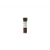 Zymo Research D5311-2 2X Reference Reaction-Lite PreMix