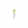 Zymo Research D5325-5-2 Positive Control