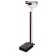 Doran Scales, Inc. DS2100 Mechanical Scale, Telescoping Height Rod, 450 lbs Capacity, 10½"W x 22"L x 4"H Platform (20 ea/plt)