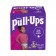 Kimberly-Clark Consumer 45127 Training Pants, 3T-4T, Girls Giga Pack, 66/pk, 1 pk/cs