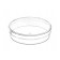 CELLCOAT Dish, PS, 100x20mm, 58cm2, Coated w/Collagen Type I