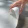 TIDI Products, LLC 980984 Absorbent Laboratory Countertop Paper, DRC, Pebble Embossed, Sheets, 18" x 20", 400/cs