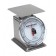 Detecto PT-500SRK Top Loading Rotating Dial Scale, 5.75" X 5.75", 500 Gram Capacity, Stainless Steel (DROP SHIP ONLY)