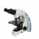 ACCUSCOPE INC 3000-LED MICROSCOPE BINOCULAR LED