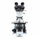 i4S Trinocular 10-100X Laboratory Microscope, Phase Plan (LW Scientific  i4S-SET4-iPL3)