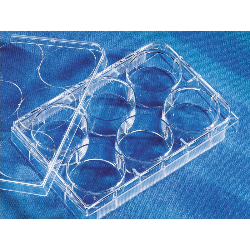 Costar® 6-well Clear TC-treated Multiple Well Plates, Bulk Packed, Sterile
