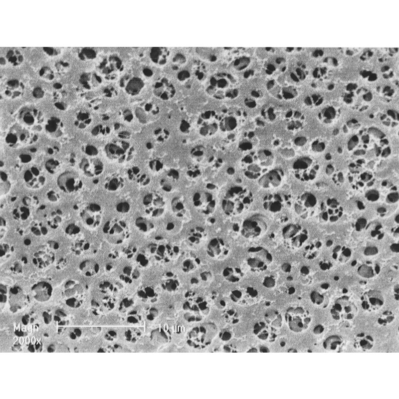 Sartorius CAMembran_0.45ľm_25mm_100pc