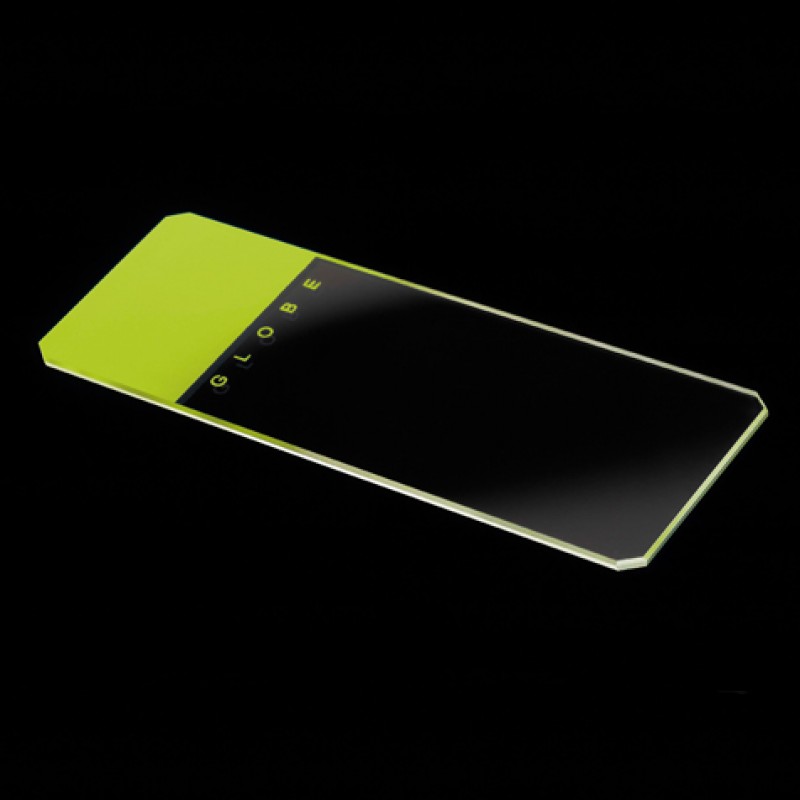 Globe Scientific Frosted Glass Microscope Slide, 25 x 75 mm, Beveled Edges, Clipped Corners, Green Frosted on One Side, 1440 Slides