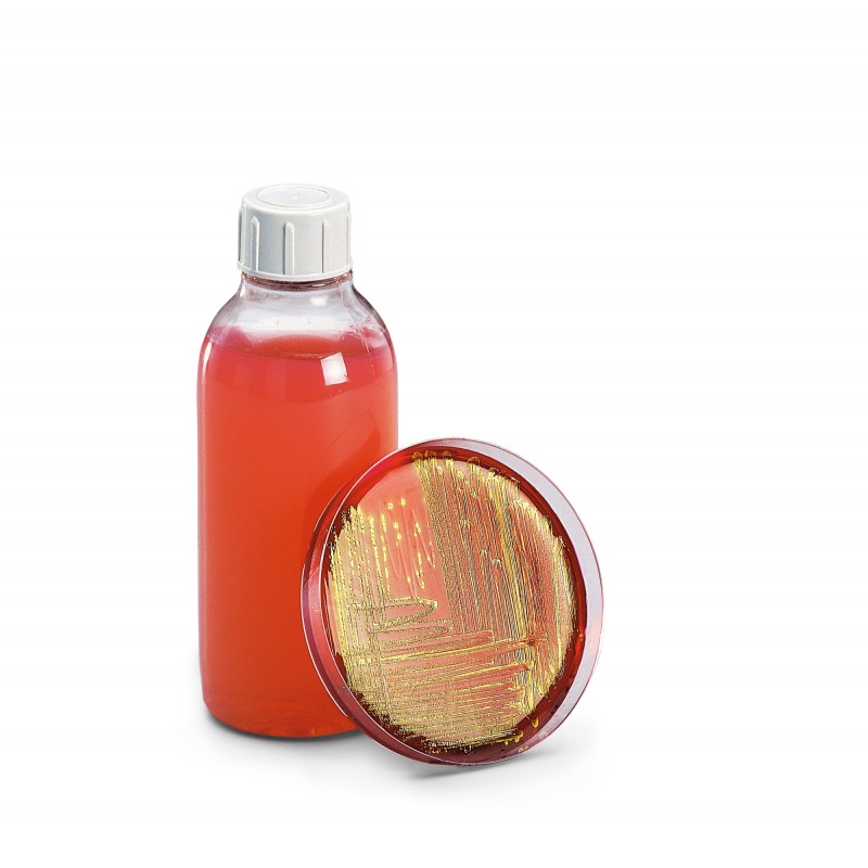 Sartorius lysine agar. 4 bottles