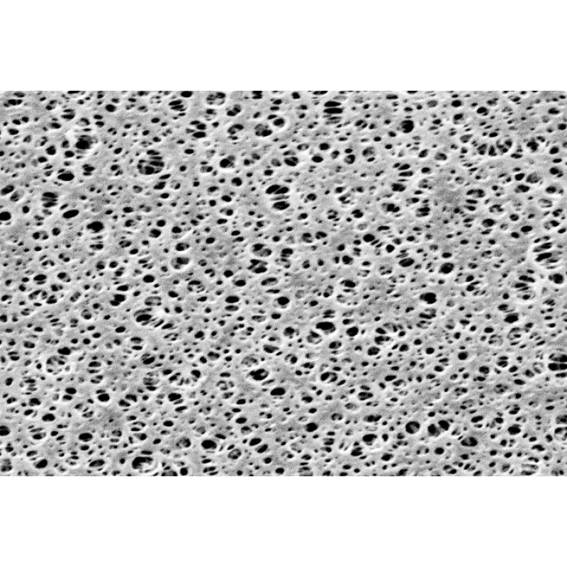 Sartorius PESMembran_0.2ľm_25mm_100pc