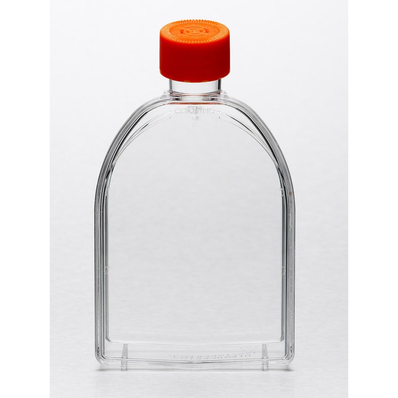 Corning® 75cm² U-Shaped Canted Neck Not Treated Cell Culture Flask with Vent Cap
