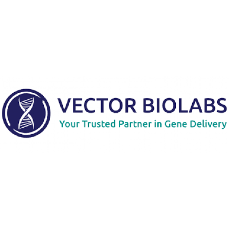 Ad-CMV-RNAi