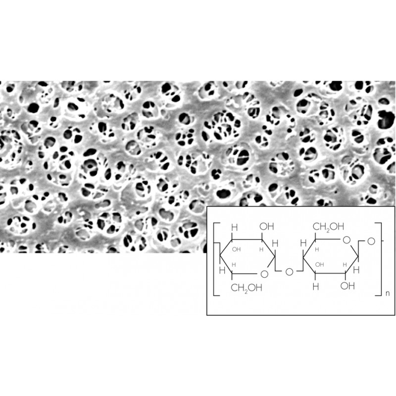 Sartorius RC Membrane_ 0.2ľm_ 13mm_ 100pk