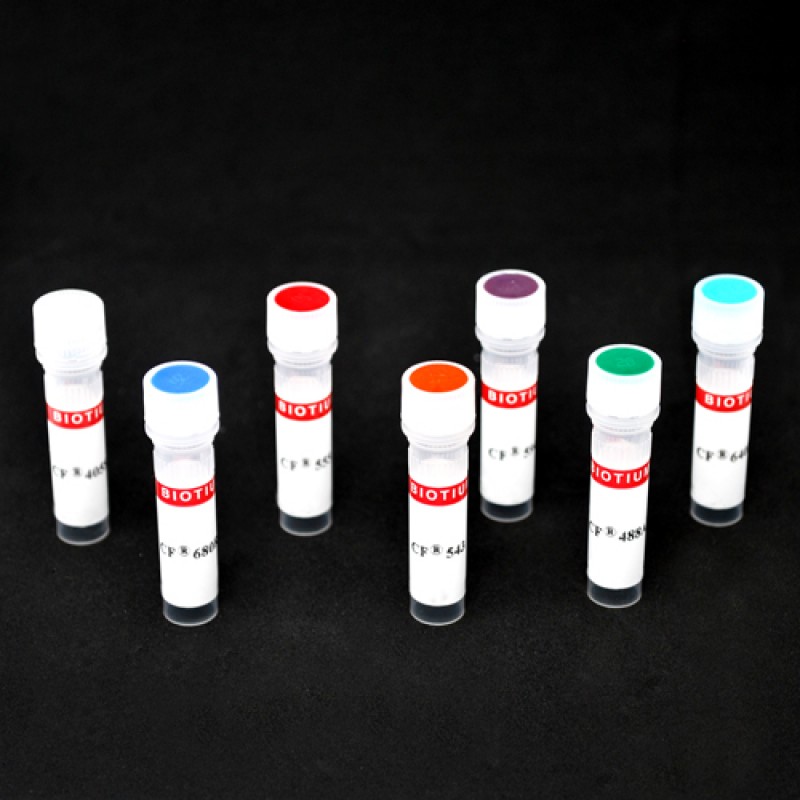 CF®594 Goat Anti-Swine IgG (H+L), 2 mg/mL