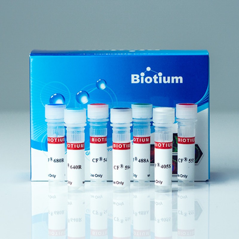 CF®583R F(ab')2 fragment of Goat Anti-Rabbit IgG (H+L), 2 mg/mL
